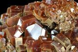 Pristine Red & Brown Vanadinite Crystals on Matrix - Morocco #42212-4
